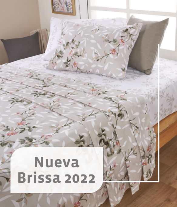 Nueva-brissa
