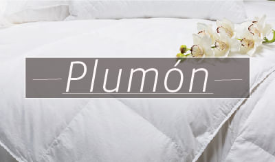 Plumon